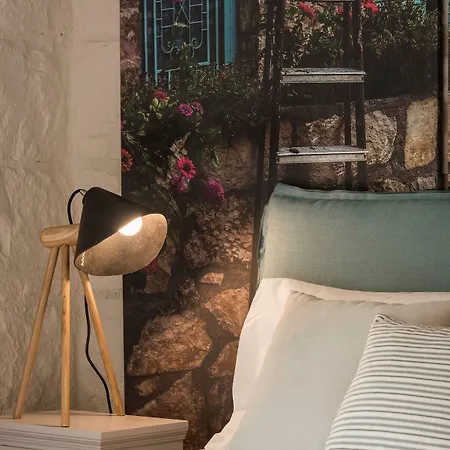 Petra Ii 'amanda' Filippos